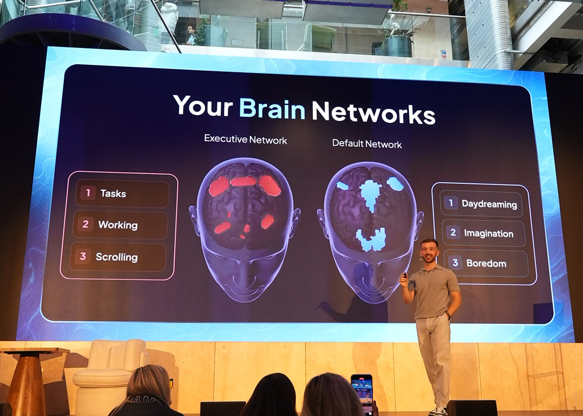 Brain networks